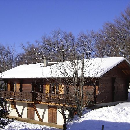 Appartement Chalet Renove 6 Pers Avec Terrasse Proche Evian, Ski Et Randonnee - Fr-1-498-29 Saint-Paul-en-Chablais Bagian luar foto