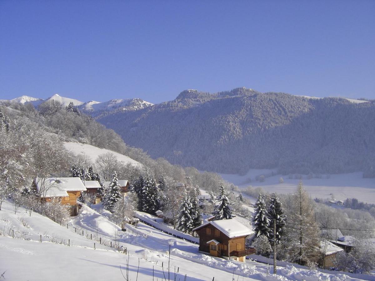 Appartement Chalet Renove 6 Pers Avec Terrasse Proche Evian, Ski Et Randonnee - Fr-1-498-29 Saint-Paul-en-Chablais Bagian luar foto